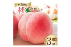 【2026年発送★先行予約】笛吹市産　厳選！桃［3kg］（7～12玉入）フルーツ大国！山梨県笛吹市より産地直送  209-002-26y  OUTTA REACH JAPAN