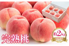 【2026年発送★先行予約】完熟桃　約2kg 222-001-26y