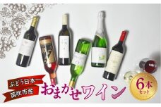 笛吹市産ワインおまかせワイン6本セット 157-048