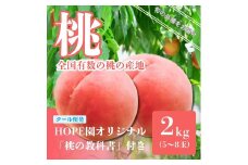 ＜2025発送＞安心のクール便発送 桃 2kg 5～8玉 ふるさと納税 もも 桃 笛吹市 国産 人気 期間限定 果物 フルーツ 旬 ギフト 贈り物 記念日 山梨県  226-002