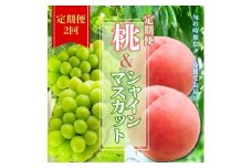 ＜2025発送＞定期便2回！旬の時期にクール便でお届け 桃とシャインマスカットの定期便 各1kg　ふるさと納税 人気 おすすめ もも 桃 シャインマスカット 定期便  人気 期間限定 フルーツ ギフト 贈り物 旬 山梨県 笛吹市 送料無料 226-003