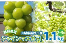 【ふるさと納税】シャインマスカット 1.1kg以上 2～3房 130-001