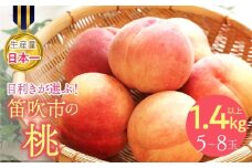 【2026年発送★先行予約】目利きが選ぶ！笛吹産桃  1.4kg以上（5～8玉） 168-101