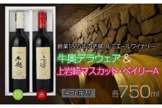 ルミエール　牛奥デラウェア  & 上岩崎マスカット・ベイリーA  【ギフト箱入】　ギフトセット　ワインセット　日本ワイン 063-022