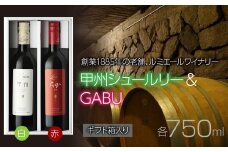ルミエール　甲州シュールリー & GABU 【ギフト箱入】　ギフトセット　ワインセット　日本ワイン 063-023