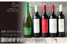 ルミエール　ルミエールワイナリー　夏のおすすめワインセット　ワインセット　日本ワイン 063-029