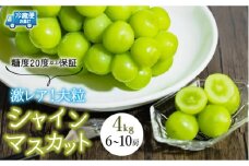 【2026年発送★先行予約】超レア大粒シャインマスカット4.0㎏以上（6房から10房）106-005