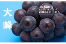【2026年発送★先行予約】『数量限定』御坂オリジナルブランド大峰700ｇ～800ｇ１房  167-004-26y