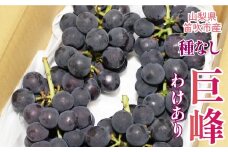 ＜25年発送＞山梨県笛吹市産わけあり巨峰（たねなし） 090-018
