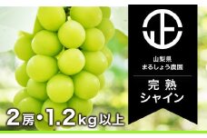 ＜25年発送＞【完熟】 シャインマスカット 2房 1.2kg以上 098-005 | シャインマスカット 発送 まるしょう農園 笛吹市 山梨県 フルーツ 果物 ぶどう 葡萄 大粒 シャインマスカット おすすめ  贈答  山梨 山梨県笛吹市 シャインマスカット 産地 期間限定 笛吹市 笛吹 葡萄 国産 ぶどう 人気 新鮮 種なし 高級 くだもの 1.2kg 完熟 ブドウ 葡萄 |