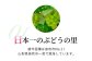 耕作面積日本一★マルサフルーツ古屋農園