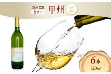 白ワイン NOVICEノヴィス 甲州 720ml×6本 フルボトル ワイン お酒 白 山梨 送料無料 日川中央葡萄酒 山梨県 笛吹市 177-7-30