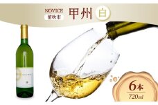 白ワイン NOVICEノヴィス 甲州 720ml×6本 フルボトル ワイン お酒 白 山梨 送料無料 日川中央葡萄酒 山梨県 笛吹市 177-7-30