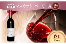 赤ワイン NOVICE マスカット・ベーリーA 720ml×6本 フルボトル  ワイン お酒 赤 山梨 送料無料 日川中央葡萄酒 山梨県 笛吹市 177-7-31