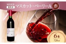 赤ワイン NOVICE マスカット・ベーリーA 720ml×6本 フルボトル  ワイン お酒 赤 山梨 送料無料 日川中央葡萄酒 山梨県 笛吹市 177-7-31