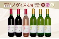 ワイン NOVICE ノヴィス 4種 6本 720ml セット シュールリー 甲州 甲州 ベーリーA ロゼ 白 赤 白ワイン 赤ワイン 甲州ワイン 山梨 お酒 飲み比べ フルボトル 日川中央葡萄酒 送料無料 山梨県 笛吹市 177-7-34