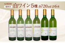 白ワイン 5種 6本 セット 720ml ヴィンテージ 甲州 サンセミヨン シュールリー 甲州 甲州 Liaison NOVICE リエゾン ノヴィス フルボトル ワイン お酒 飲み比べ 山梨 日川中央葡萄酒 送料無料 山梨県 笛吹市 177-7-35