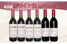 赤ワイン 3種 6本 720ml セット ベーリーA プレステージ Liaison NOVICE リエゾン ノヴィス フルボトル ワイン 赤ワイン お酒 飲み比べ 山梨 日川中央葡萄酒 送料無料 山梨県 笛吹市 177-7-36