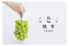 ＜25年発送＞【2026年発送★先行予約】シャインマスカット約1.2kg（1~3房） 122-014-26y ※北海道・沖縄・離島は配送不可