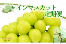 【2026年発送★先行予約】シャインマスカット定期便2kg×2 157-018