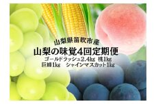 【2026年発送★先行予約】山梨の味覚定期便　全4回　ゴールドラッシュ　桃　巨峰　シャインマスカット 167-141