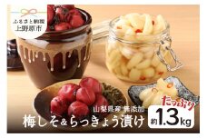 ＼＼先行予約開始／／【山梨県産】手作り梅しそ漬け（700g）らっきょう漬けセット（600g）