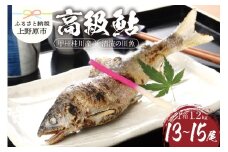 【一級河川(魚)】甲州桂川の高級鮎 鮎1箱（1.2kg）13～15尾 魚 川魚 鮎 あゆ 桂川 甲州桂川の鮎(Aセット) 鮮魚 清流 塩焼き 甘露煮 贈答 贈り物 送料無料 ※沖縄県、離島不可 山梨県 上野原市