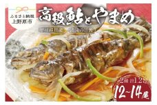 【一級河川(魚)】甲州桂川の高級鮎（約600g）とやまめ（約600g）セット 鮎 やまめ 魚 川魚 ギフト 和食 鮮魚 清流 塩焼き 甘露煮 贈答 贈り物 送料無料 ※沖縄県、離島不可 山梨県 上野原市