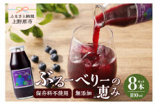 無添加ブルーベリージュース「ブルーベリーの恵み」8本セット（180ml） 無添加 ブルーベリー ジュース セット ギフト お歳暮 プレゼント 贈り物 山梨県 上野原市