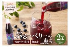 無添加ブルーベリージュース「ブルーベリーの恵み」720ml×2本 無添加 ブルーベリー ジュース セット お歳暮 プレゼント ギフト 贈り物 山梨県 上野原市
