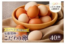 【山梨県産 卵】ミシュランも選ぶ高級卵セット（40個）