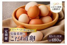【卵 定期便】12ヶ月お届け！ミシュランも選ぶ高級卵セット（40個×12カ月）