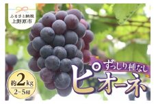 【山梨県産】ぶどう約2kg（種なしピオーネ）