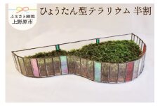 【インテリア】ひょうたん型テラリウム＜半割＞