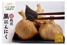 超熟成黒にんにく×1袋（250g）