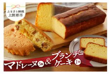 リュバン　マドレーヌ5個＆ブランデーケーキセット