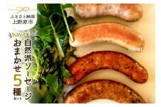 hayariの自然派ソーセージおまかせ５種セット