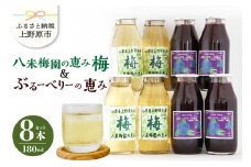 八米梅園の恵み&ブルーベリーの恵み(180ml×8本) 梅ジュース ブルーベリージュース 180ml×8本（各4本） 無添加 自然栽培 八米梅園 国産 保存料不使用 梅果汁入り 濃厚 飲料 ドリンク 美味しい 瓶 夏ギフト 贈り物 お取り寄せ 山梨県産 上野原市