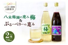 八米梅園の恵み&ブルーベリーの恵み(720ml×2本) 梅ジュース ブルーベリージュース 無添加 自然栽培 八米梅園 国産 保存料不使用 梅果汁入り 濃厚 飲料 ドリンク 美味しい 瓶 夏ギフト 贈り物 お取り寄せ 山梨県産 上野原市