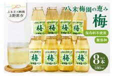 八米梅園の恵み180ml×8本 梅ジュース 無添加 自然栽培 八米梅園 国産 保存料不使用 梅果汁入り 飲料 梅ドリンク 美味しい 瓶 夏ギフト 贈り物 お取り寄せ 山梨県産 上野原市