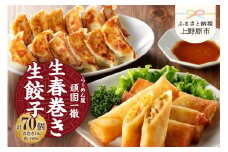 一徹堂・冷凍生餃子(60個)＆生春巻き(10本)セット
