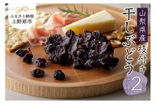 山梨県産枝付き干しぶどう（巨峰）2パック