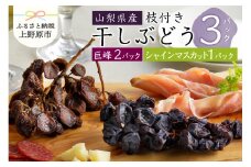 山梨県産枝付き干しぶどう3パック（巨峰2P+シャインマスカット1P）3パック