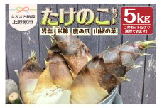 国産無農薬　梅鉢工房の朝掘りたけのこ5kg(3本～6本）とたけのこ「３種の神器」セット