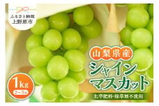 ◆2025年先行予約◆山梨県産シャインマスカット 1kg（2～３房）【化学肥料、除草剤不使用】