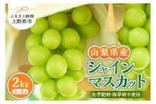 ◆2025年先行予約◆山梨県産シャインマスカット 2kg（3～5房）【化学肥料、除草剤不使用】