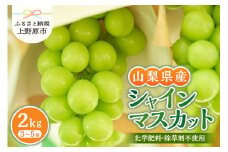 山梨県産シャインマスカット 2kg（3～5房）【化学肥料、除草剤不使用】 数量限定 ぶどう ブドウ 葡萄 フルーツ 果物 くだもの マスカット 化学肥料不使用 除草剤不使用 大粒 大人気 芳醇 農園直送 ギフト プレゼント お取り寄せ 贈り物 贈答 送料無料 上野原市
