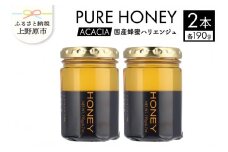 山梨県上野原市産 ハチミツ ハリエンジュ（190g 2本 計380g）上野原市産 はちみつ ハチミツ 蜂蜜 天然 380g 2本 ハリエンジュ ラベルレス マイルド 贈答 プレゼント ギフト 贈り物 送料無料 山梨県 上野原市