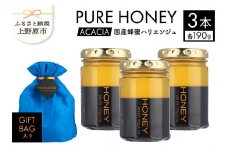 山梨県上野原市産 ハチミツ ハリエンジュ（190g 3本 計570g）上野原市産 はちみつ ハチミツ 蜂蜜 天然 570g 3本 ハリエンジュ ラベルレス マイルド 贈答 プレゼント ギフト 贈り物 送料無料 山梨県 上野原市