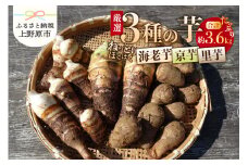 ◆◆2025年度収穫分先行予約◆◆ 山梨県上野原市産 厳選３種の芋（里芋・京芋・海老芋）セット 各約1.2kg×3種